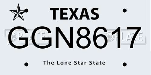 GGN8617 Texas License Plate