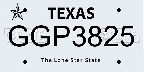GGP3825 Texas License Plate
