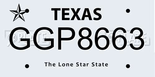 GGP8663 Texas License Plate