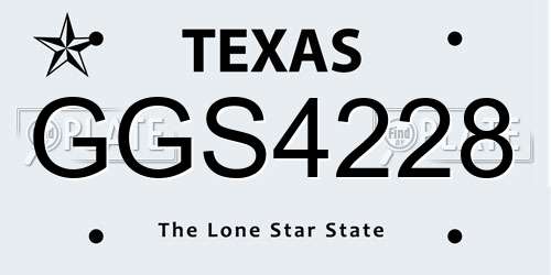GGS4228 Texas License Plate