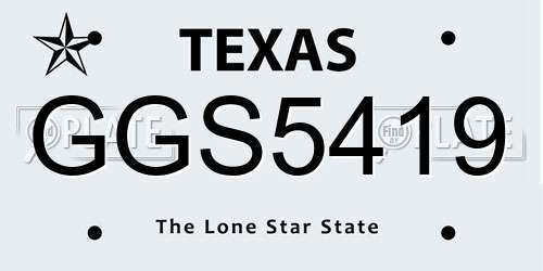 GGS5419 Texas License Plate