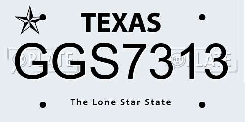 GGS7313 Texas License Plate