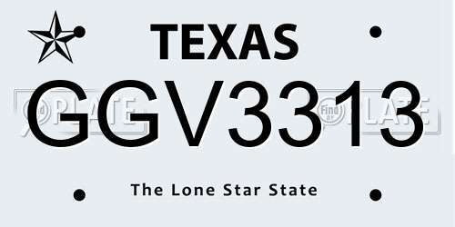 GGV3313 Texas License Plate
