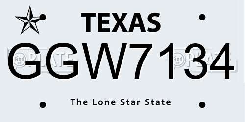GGW7134 Texas License Plate