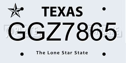 GGZ7865 Texas License Plate