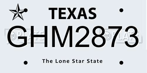 GHM2873 Texas License Plate