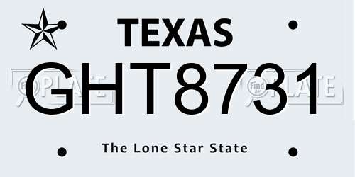 GHT8731 Texas License Plate