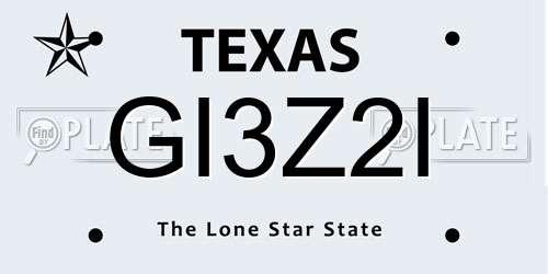 GI3Z2I Texas License Plate