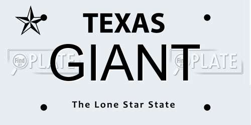 GIANT Texas License Plate