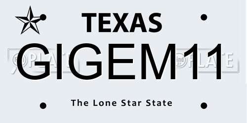 GIGEM11 Texas License Plate