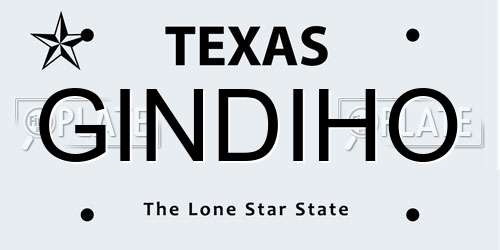 GINDIHO Texas License Plate