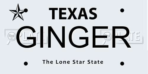 GINGER Texas License Plate