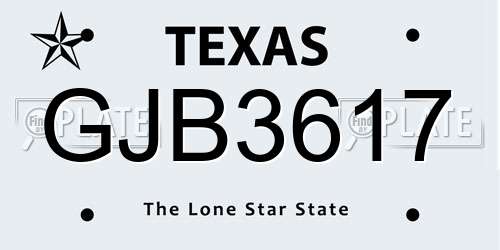 GJB3617 Texas License Plate