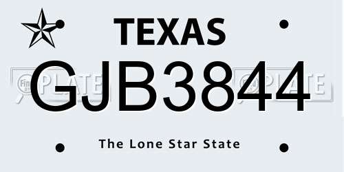 GJB3844 Texas License Plate