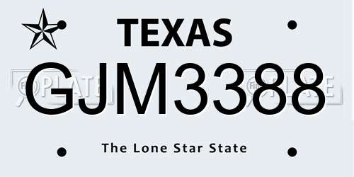 GJM3388 Texas License Plate
