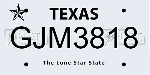 GJM3818 Texas License Plate