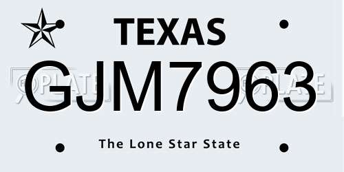 GJM7963 Texas License Plate