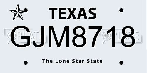 GJM8718 Texas License Plate