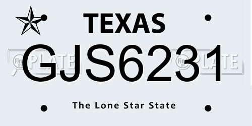 GJS6231 Texas License Plate