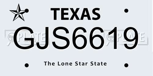 GJS6619 Texas License Plate