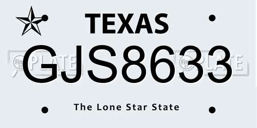 GJS8633 Texas License Plate