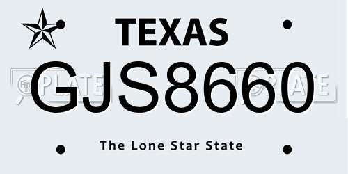 GJS8660 Texas License Plate