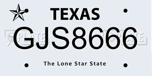 GJS8666 Texas License Plate