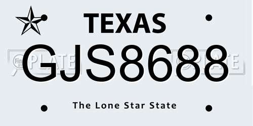 GJS8688 Texas License Plate