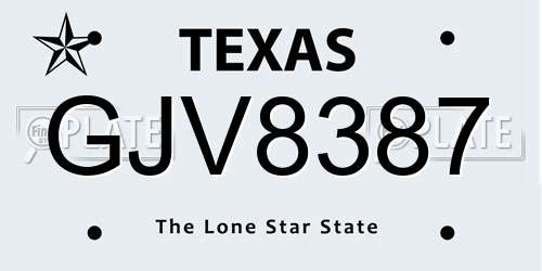GJV8387 Texas License Plate