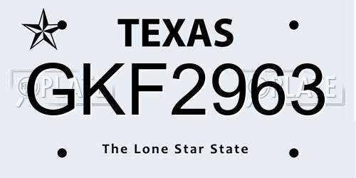 GKF2963 Texas License Plate