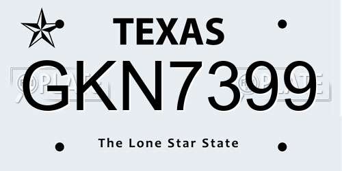 GKN7399 Texas License Plate