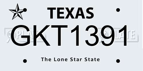 GKT1391 Texas License Plate