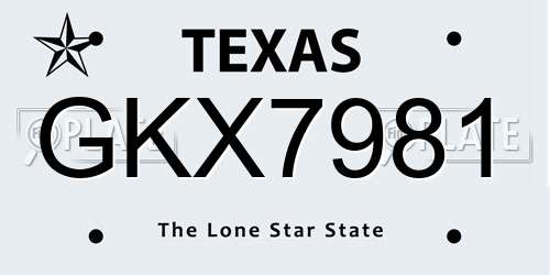 GKX7981 Texas License Plate