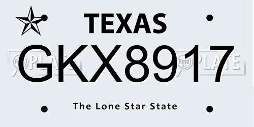 GKX8917 Texas License Plate