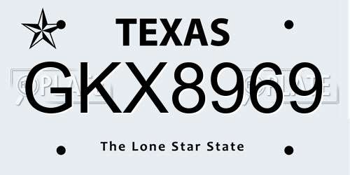 GKX8969 Texas License Plate