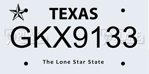 GKX9133 Texas License Plate