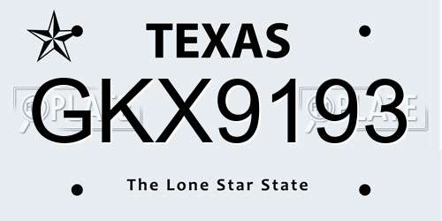 GKX9193 Texas License Plate
