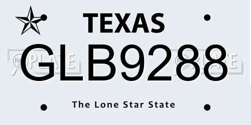 GLB9288 Texas License Plate
