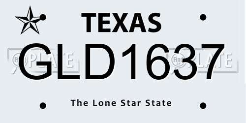 GLD1637 Texas License Plate