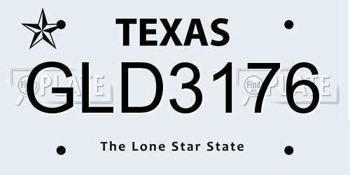GLD3176 Texas License Plate