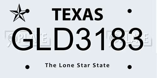 GLD3183 Texas License Plate