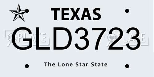 GLD3723 Texas License Plate