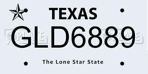 GLD6889 Texas License Plate