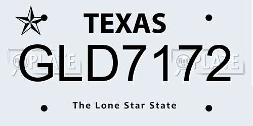 GLD7172 Texas License Plate