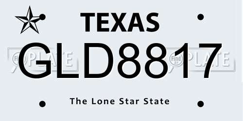 GLD8817 Texas License Plate