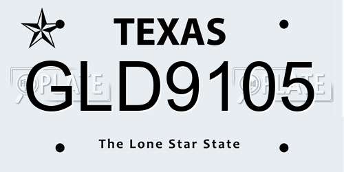 GLD9105 Texas License Plate