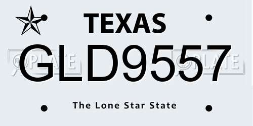 GLD9557 Texas License Plate
