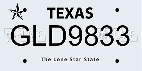 GLD9833 Texas License Plate