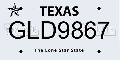 GLD9867 Texas License Plate
