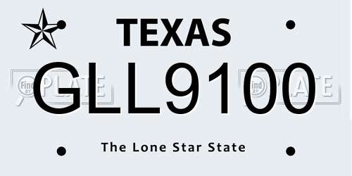 GLL9100 Texas License Plate